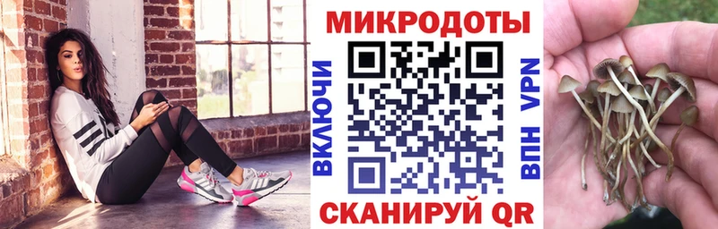 Псилоцибиновые грибы Magic Shrooms  цена наркотик  Мостовской 
